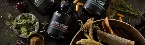 d8a2d984d981d8a7 d988d986d988d8b3 d9bed984d8a7d8b3 atp 65a879ad151d4