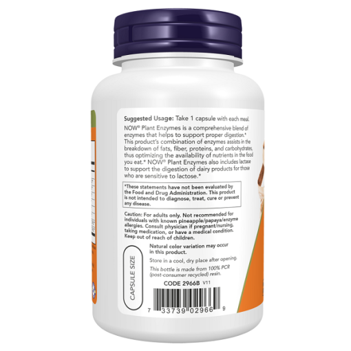 d8a2d986d8b2db8cd985 daafdb8cd8a7d987db8c d986d8a7d988 120 daa9d9bed8b3d988d984 now plant enzymes 65fb73dba735b