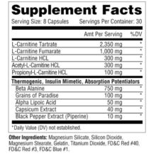 d8a7d984 daa9d8a7d8b1d986db8cd8aadb8cd986 d985d8aad8a7d8a8d988db8cd984daa9 metabolic nutrition carni 10 65a86024a30b0