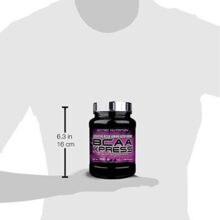 بی سی ای ای اکسپرس سایتک نوتریشن 66854ea74a99f.jpeg