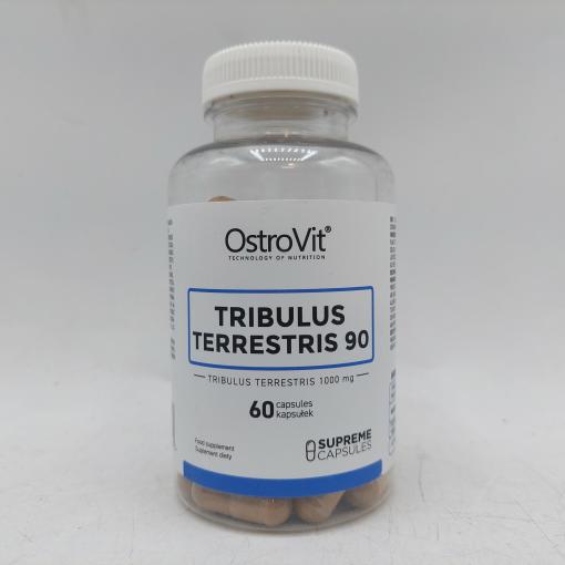 d8aad8b1db8cd8a8d988d984d988d8b3 90 d8a7d8b3d8aad8b1d988d988db8cd8aa 65a85ba938d37