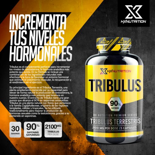 تریبولوس اچ ایکس نوتریشن HX Nutrition Tribulus 6651ef062dbd7.png