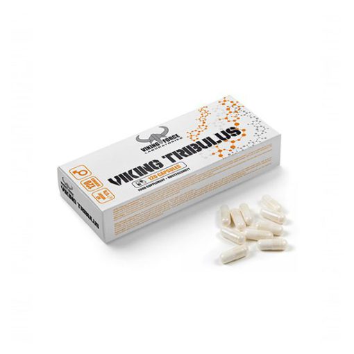 d8aad8b1db8cd8a8d988d984d988d8b3 d988d8a7db8cdaa9db8cd986daaf d981d988d8b1d8b3 65a85b9dbabfd