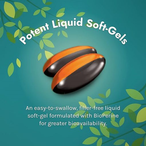 d8aad982d988db8cd8aa daa9d986d986d8afd987 d8aed988d8a7d8a8 d985d984d8a7d8aad988d986db8cd986 d8a7d8b1d988db8cd986 d986da86d8b1d8a7 65fb669a2a98a