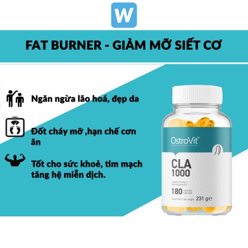 d8b3db8c d8a7d984 d8a7db8c d8a7d8b3d8aad8b1d988d988db8cd8aa 65a864748a47c