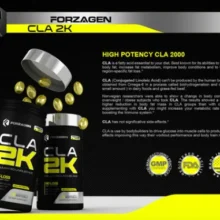 d8b3db8c d8a7db8c d8a7db8c d981d988d8b1d8b2d8a7da98d986 forzagen cla 2k 65a86df4a96a2