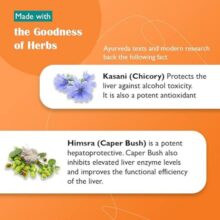 d982d8b1d8b5 d984db8cd988 52 d8afdb8c d8a7d8b3 d987db8cd985d8a7d984db8cd8a7 himalaya liv 52 ds 65fb738c6e997