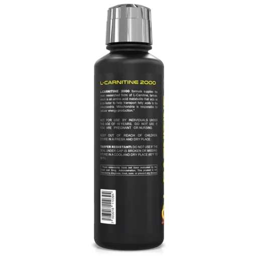 d985d8a7db8cd8b9 d8a7d984 daa9d8a7d8b1d986db8cd8aadb8cd986 2000 d981d8b1d988d8b2d8a7da98d986 forzagen l carnitine 2000 65a86e2155b74