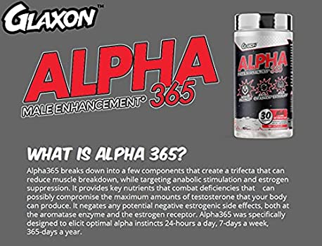 d985daa9d985d984 d8a2d984d981d8a7 365 daafd984daa9d8b3d988d986 65a8631365b3f