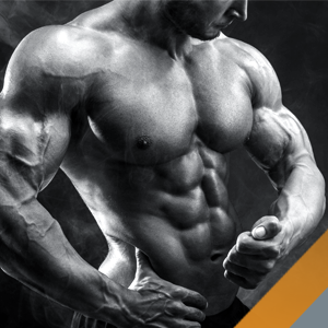 d985daa9d985d984 d8a7db8cdaa9d8b3 d981d8a7daa9d8aad988d8b1 d985d988d984daa9d988d984d8a7d8b1 d986d988d8aad8b1db8cd8b4d986 65a8794c2aa1c