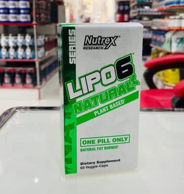 d985daa9d985d984 d984db8cd9bed988 6 d986da86d8b1d8a7d984 d986d8a7d8aad8b1daa9d8b3 65a866d264874