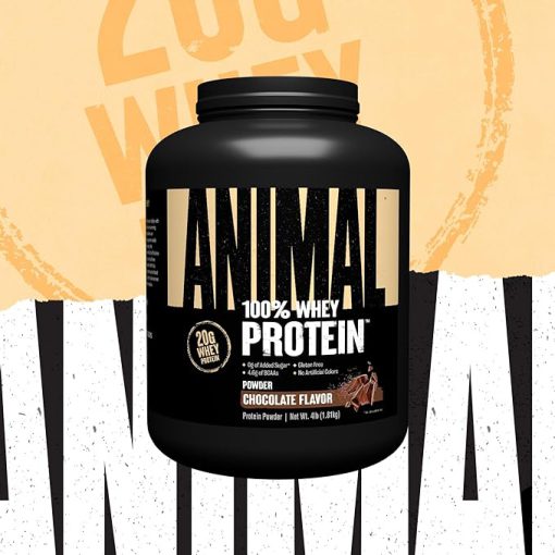 پروتئین انیمال وی یونیورسال  Universal Nutrition Animal Whey 662693b8396ee.jpeg