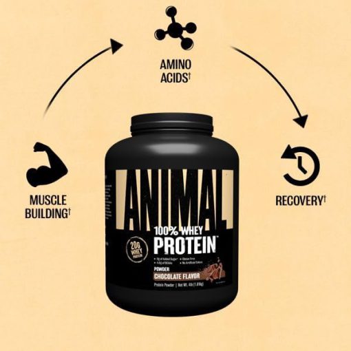 پروتئین انیمال وی یونیورسال  Universal Nutrition Animal Whey 662693c4d8c6b.jpeg