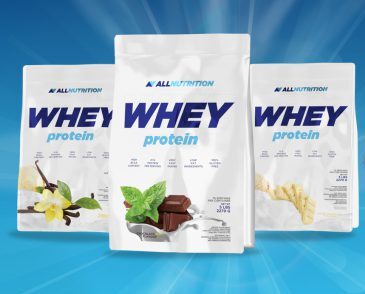 d9bed8b1d988d8aad8a6db8cd986 d988db8c d8a2d984 d986d988d8aad8b1db8cd8b4d986 65a85ce64333e e1706561814910