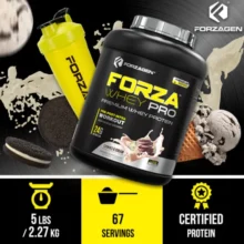 d9bed8b1d988d8aad8a6db8cd986 d988db8c d981d8b1d988d8b2d8a7 d988db8c d9bed8b1d988 d981d8b1d988d8b2d8a7da98d986 65 d8b3d8b1d988db8cd986 65a91bce2d3be