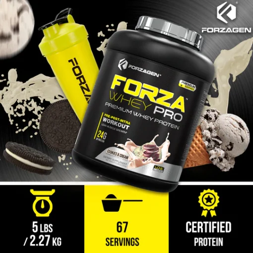 d9bed8b1d988d8aad8a6db8cd986 d988db8c d981d8b1d988d8b2d8a7 d988db8c d9bed8b1d988 d981d8b1d988d8b2d8a7da98d986 65 d8b3d8b1d988db8cd986 65a91bce2d3be