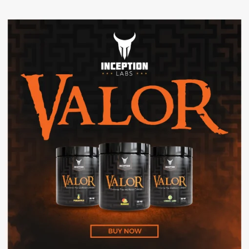 d9bed8b1db8c d988d8b1daa9 d8a7d988d8aa d988d8a7d984d988d8b1 d8a7db8cd986d8b3d9bed8b4d986 d984d8a8d8b2 inception labs valor 65a863f99504e