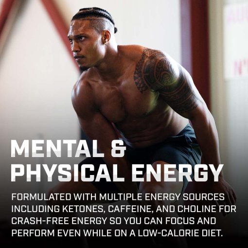 da86d8b1d8a8db8c d8b3d988d8b2 d8aad8b1d985d988da98d986db8cdaa9 d981d8b3d8aad8af daa9d8a7d8b1d8afdb8cd988 d985daafd986d988d985 65a85d2e31bb2