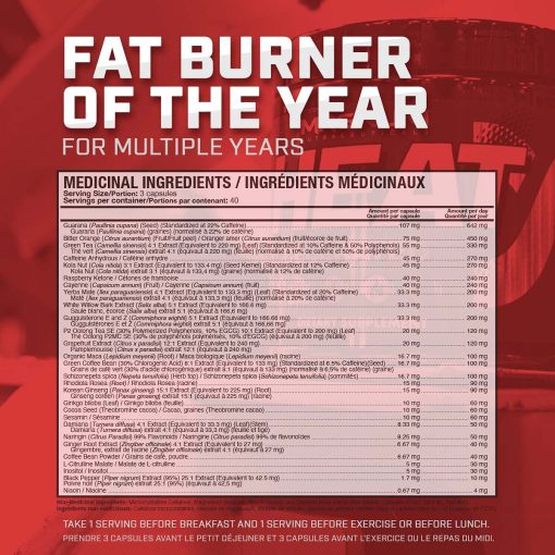 da86d8b1d8a8db8c d8b3d988d8b2 d987db8cd8aa d985daafd986d988d985 65a85c1eb90c8