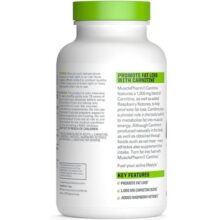 daa9d8a7d8b1d986db8cd8aadb8cd986 d985d8a7d8b3d984 d981d8a7d8b1d985 musclepharm carnitine 65fb7ede8564e