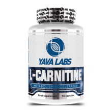 کارنیتین یاوا لبز YAVA LABS L-Carnitine