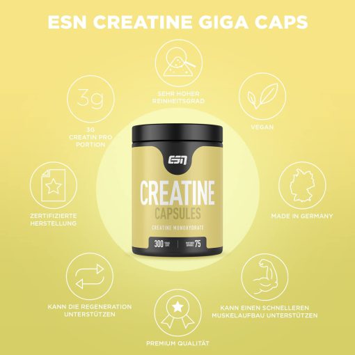 daa9d8b1d8a7d8aadb8cd986 d985d988d986d988d987db8cd8afd8b1d8a7d8aa d8a7db8c d8a7d8b3 d8a7d986 esn 65a85eb7613a8