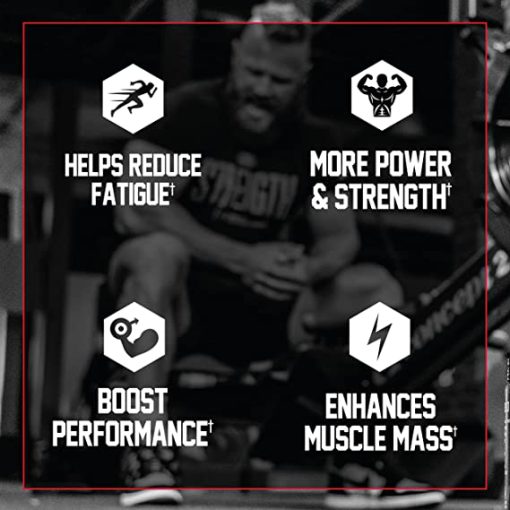 daa9d8b1d8a7d8aadb8cd986 d986d8a7d8aad8b1daa9d8b3 65a85a85b2603