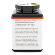 daa9d984d8a7da98d986 db8cd988d8aad8a6d988d8b1db8c youtheory collagen d987d985d8b1d8a7d987 d8a8d8a7 d988db8cd8aad8a7d985db8cd986 c 65a85c199ae67