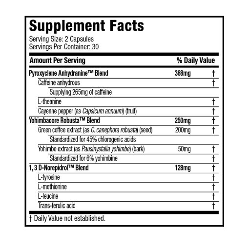 daa9d9bed8b3d988d984 daa9d8a7d987d8b4 d988d8b2d986 d9bed8b1d988 daa9d984db8cd986db8cdaa9d8a7d984 d987db8cd8afd8b1d988daa9d8b3db8c 65a870cebb1fe