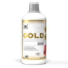 گلد کارنیتین 3000 وایکینگ فورس VIKING GOLD CARNITINE 3000