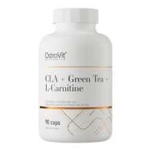 سی ال ای و چای سبز و ال کارنیتین اوستروویت 90 عددی OstroVit CLA + Green Tea + L-carnitine