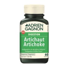 آرتیشو ادرین گگنون 60 عددی Adrien Gagnon Artichoke